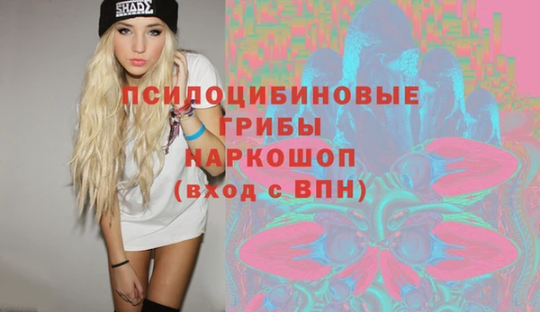 ешки Богданович
