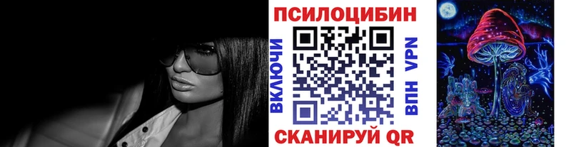 Галлюциногенные грибы Psilocybe  Новоуральск 